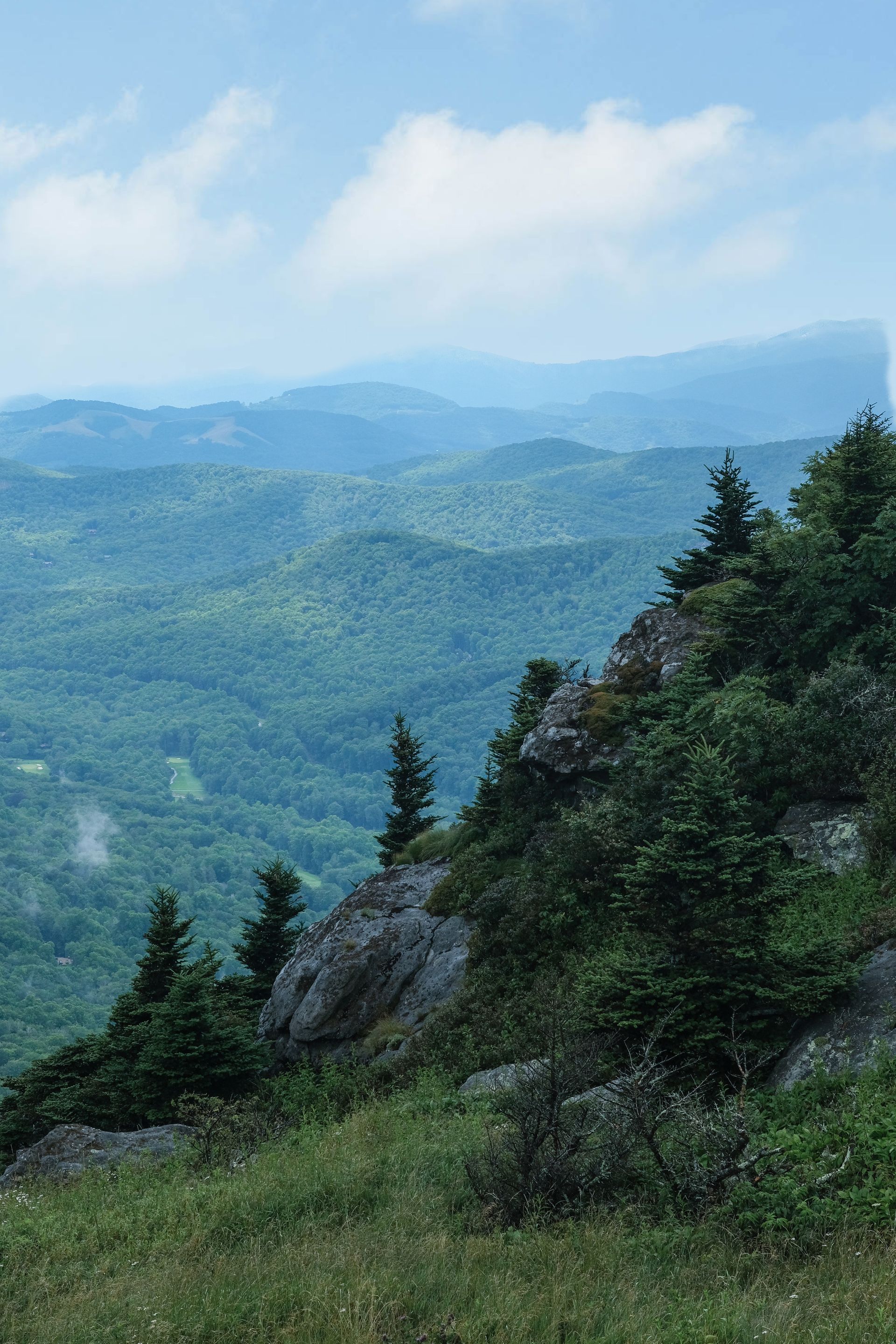Wooded North Carolina acreage, Blue Ridge region